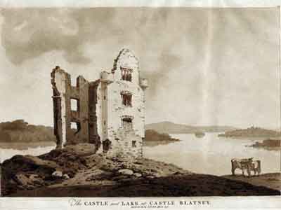 Photograph of Ruins of Castle Blayney