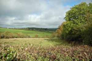 Photograph of Castleshane Demesne