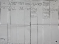 Link to RG Wallace Discharge Papers